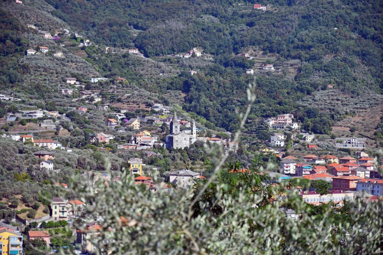 Le Drupe Chiavari